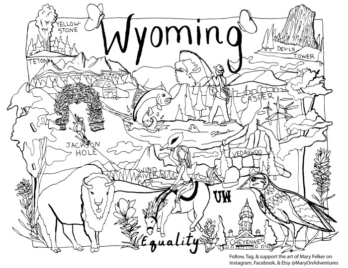 Coco wyo coloring books