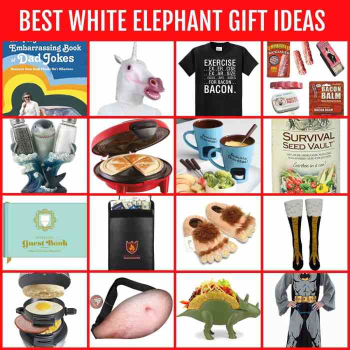 Funny diy white elephant gifts